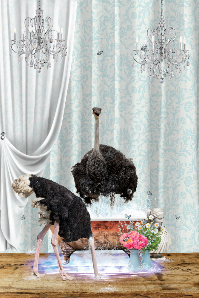 Ostriches &amp; Bubbles von Sue Skellern