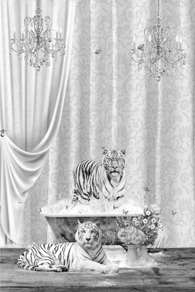 White Tigers &amp; Bubbles Black &amp; White von Sue Skellern
