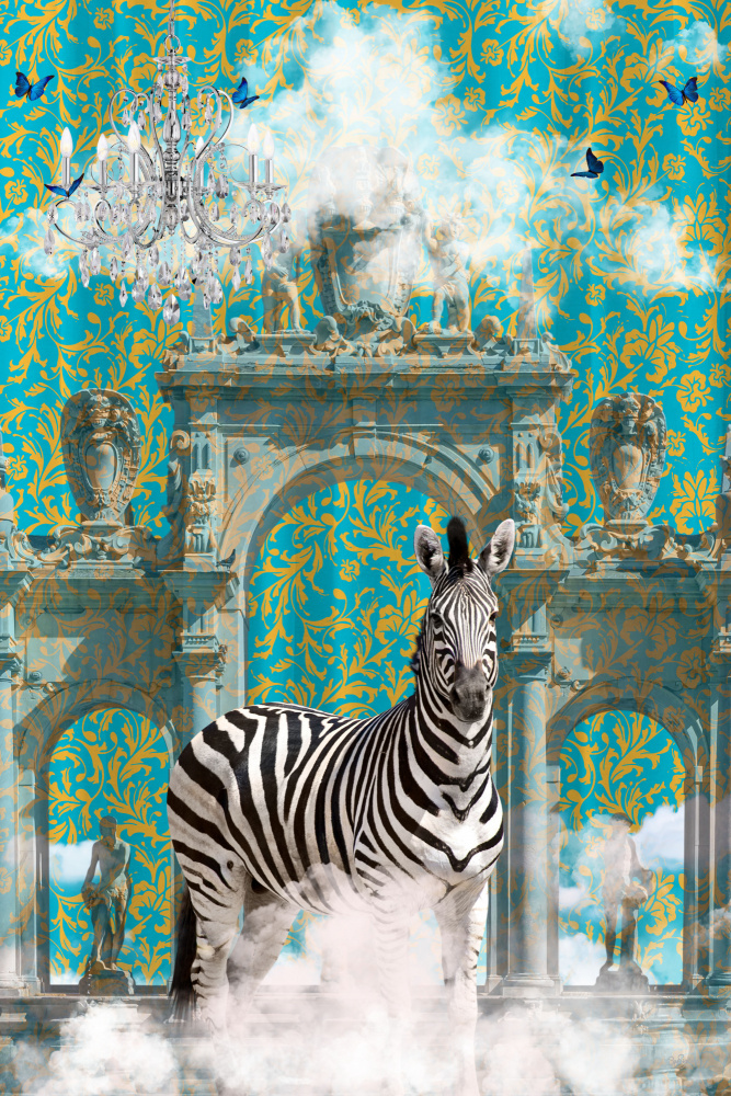 Zebra Adventures von Sue Skellern