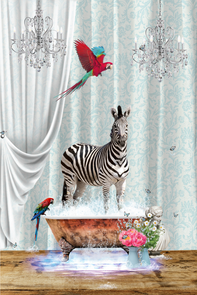 Zebra Parrots &amp; Bubbles von Sue Skellern