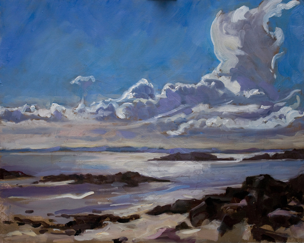 Late afternoon in Galloway von Sue Wales