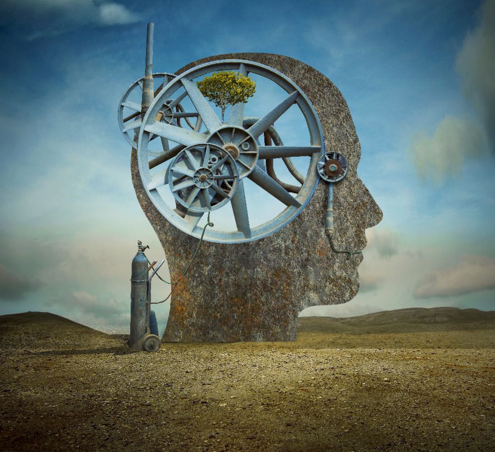 Der Anfang von sulaiman almawash