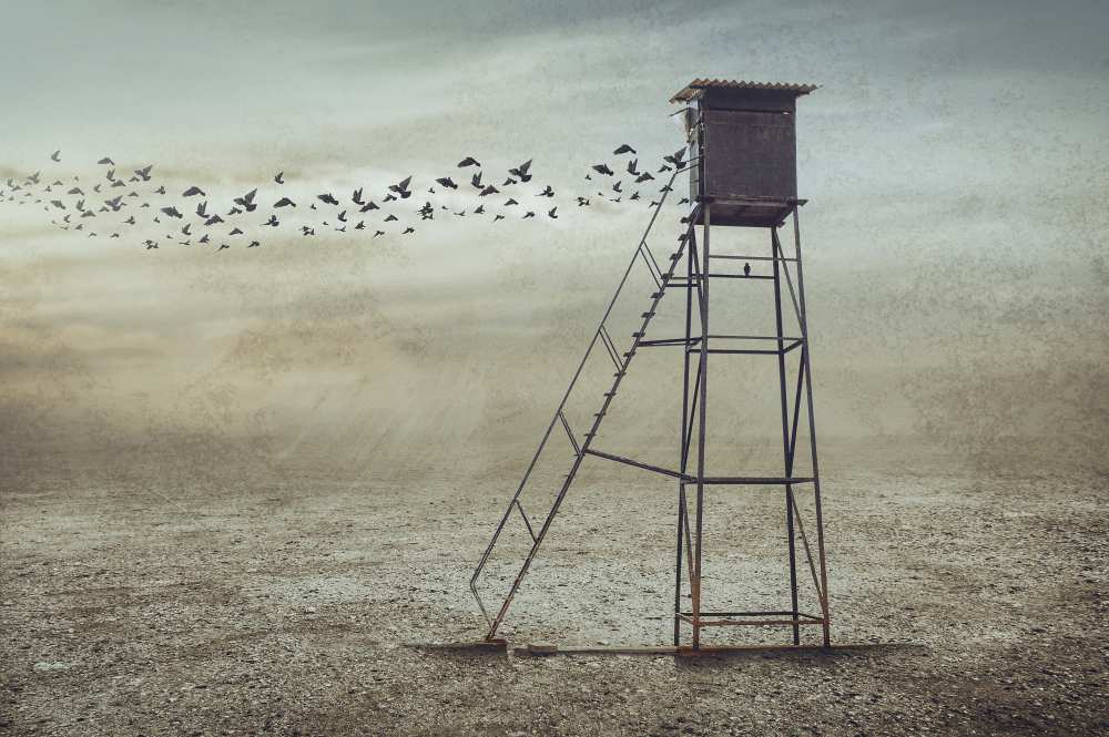 Go to Nature von sulaiman almawash