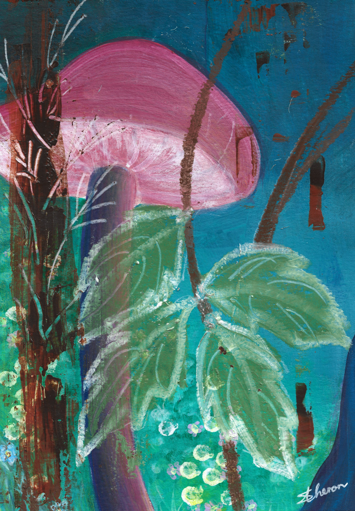 The Pink Mushroom von Sunet Theron