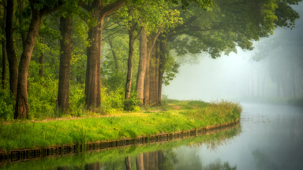 Spring von Sus Bogaerts
