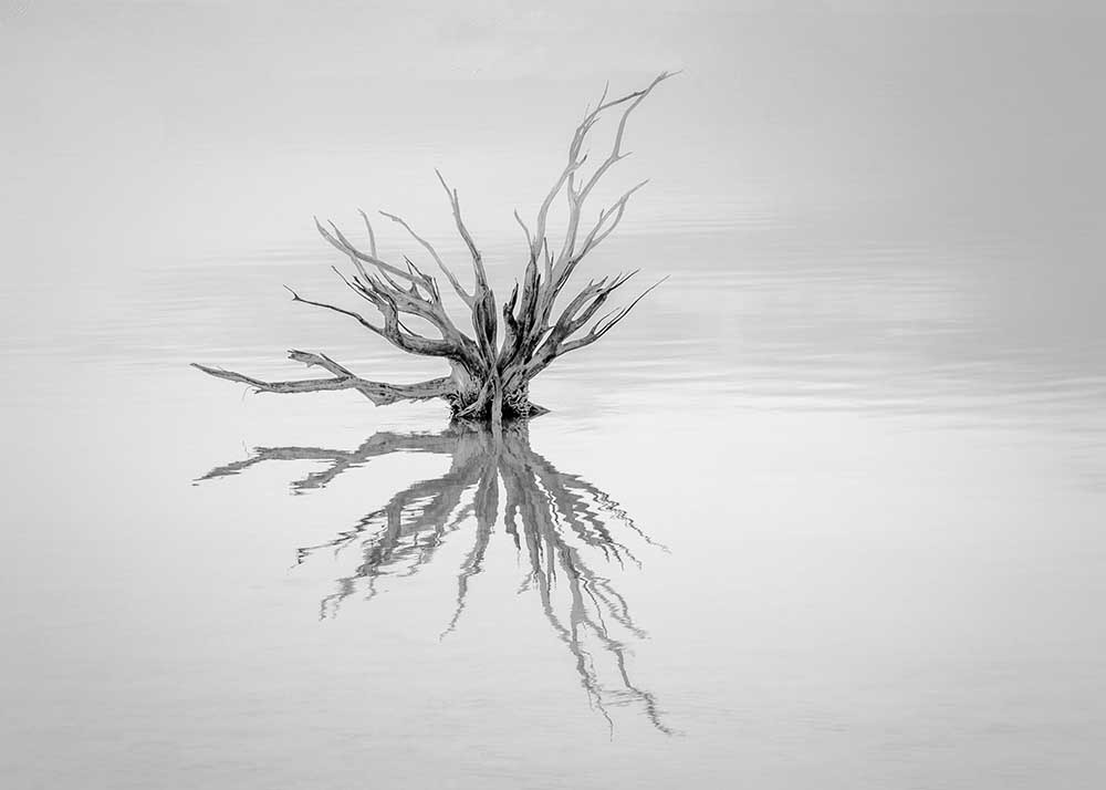 Erreichen von Susan Moss