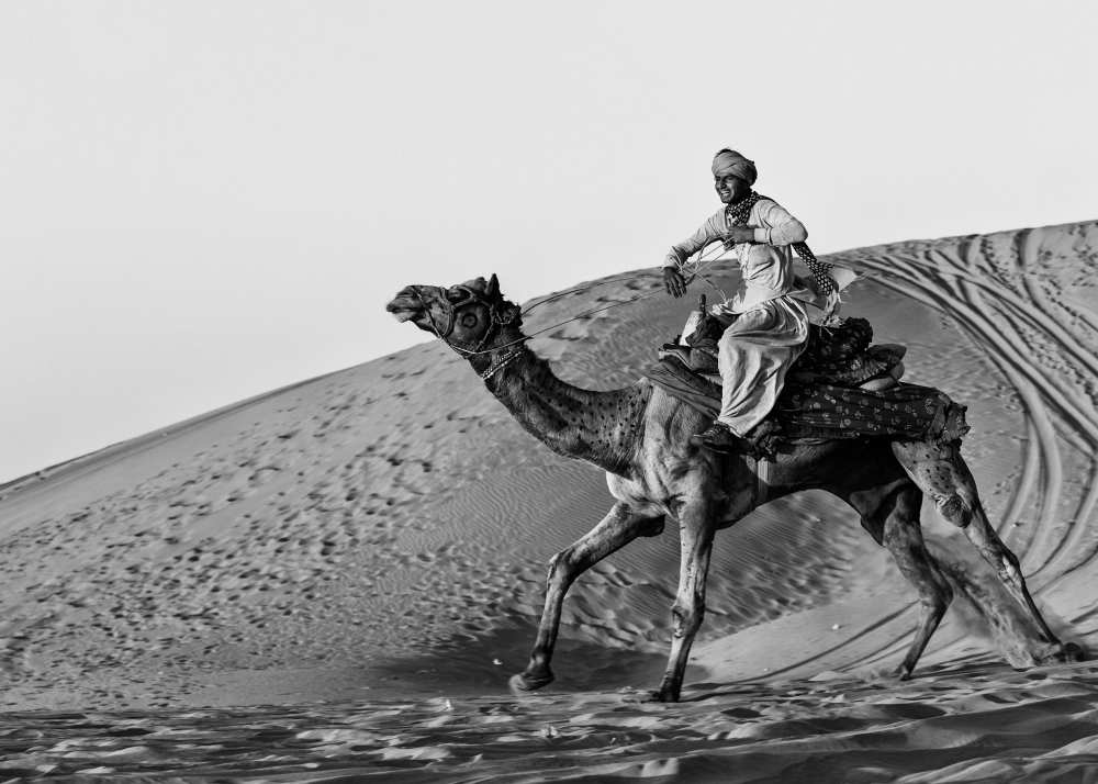 Such Fun von Susan Moss