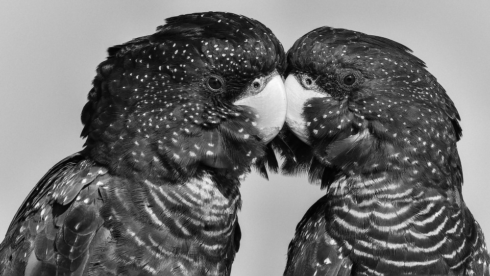 Time to Smootch von Susan Moss