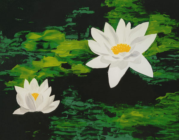 Teichzauber von Susett Heise