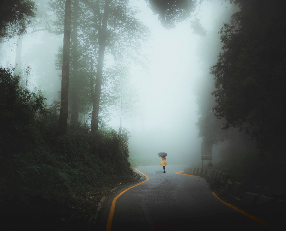 The mystique forest von Susnata Majumder