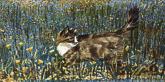 Cat''s Ear  von Suzi  Kennett