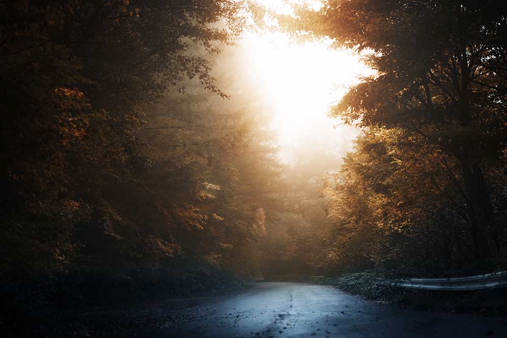 Ohne Titel von Suzuhiko Suzuki