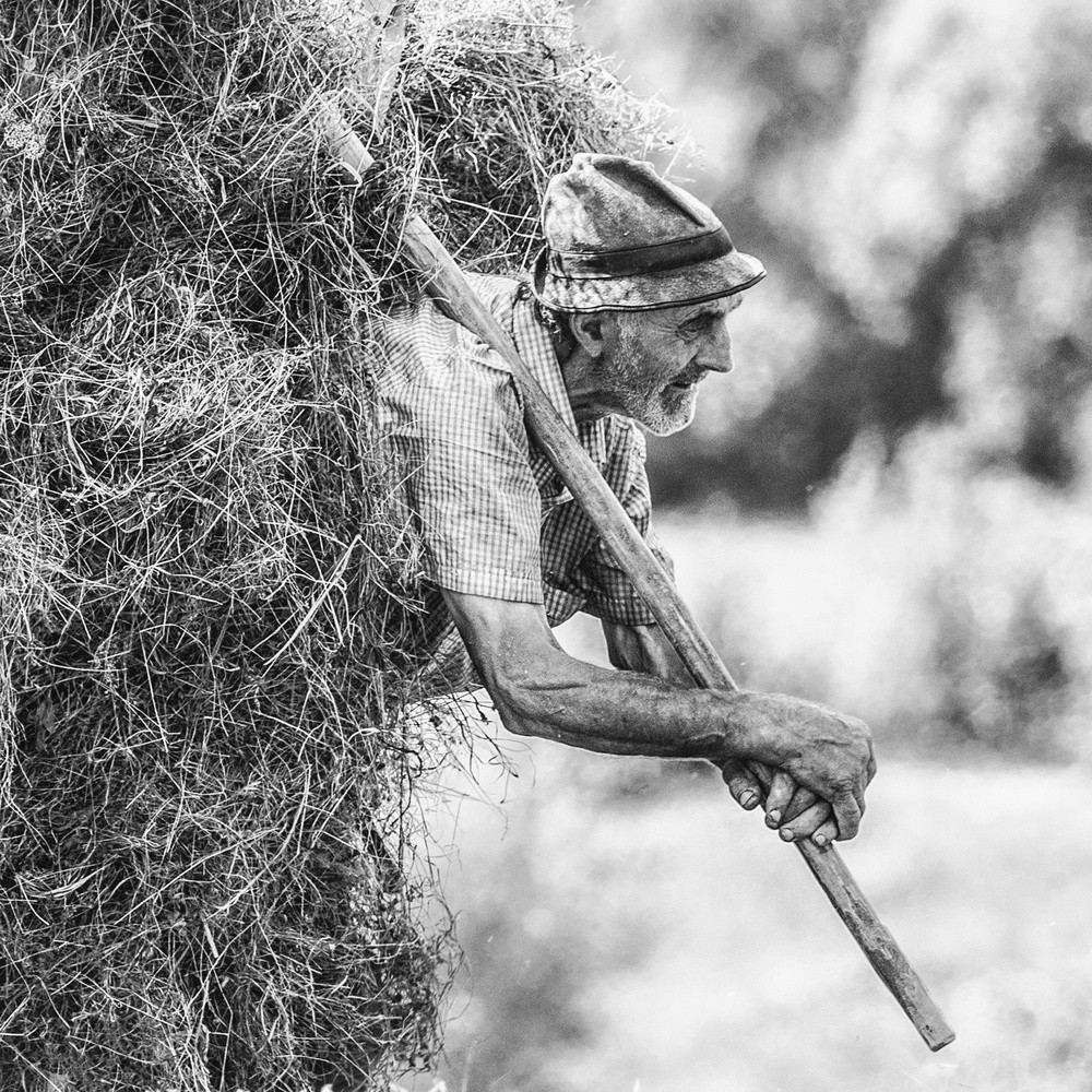 Hard work von Sveduneac Dorin Lucian