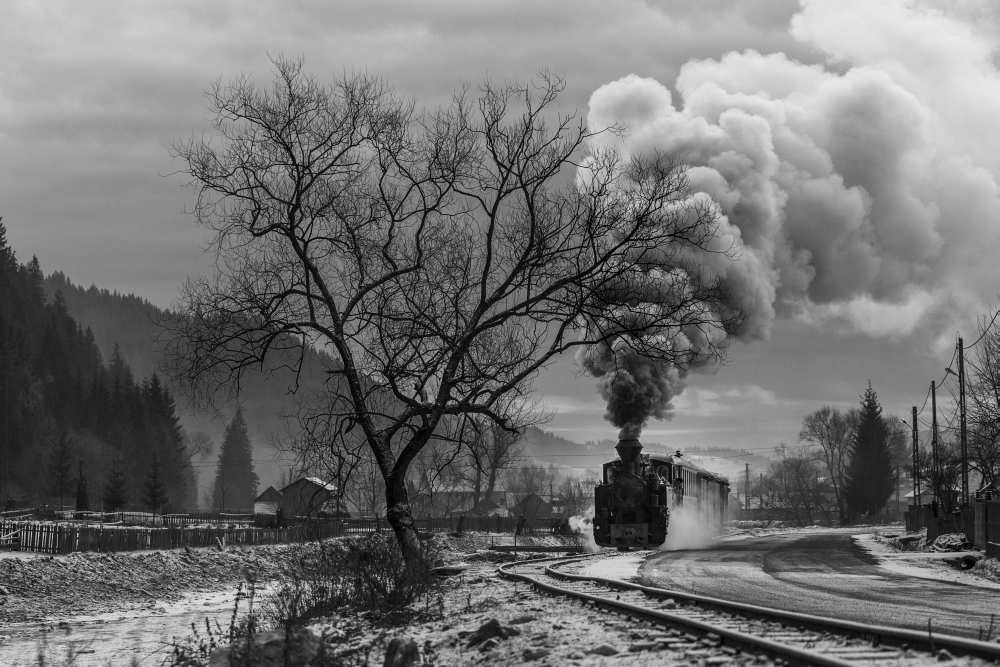 Mocanita Hutulca von Sveduneac Dorin Lucian