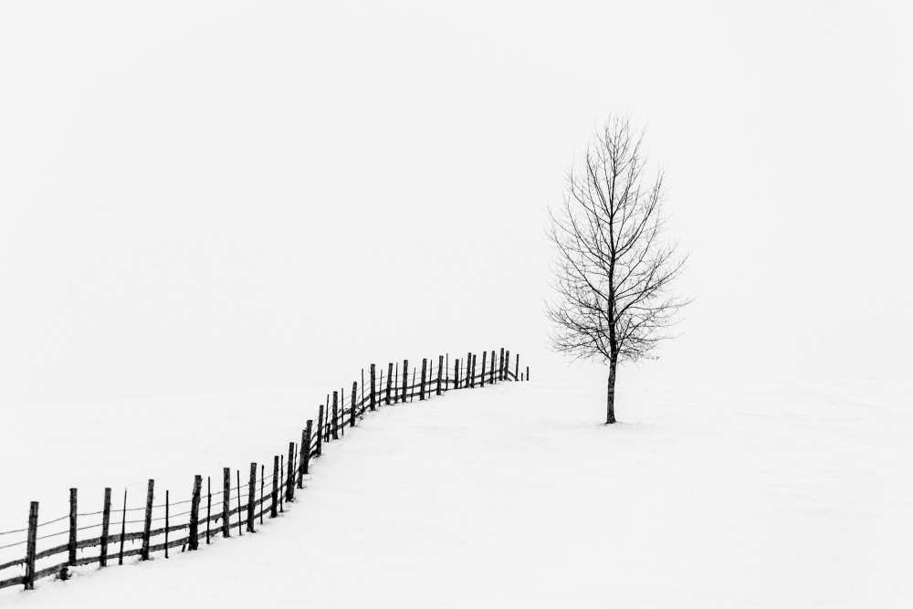 S I L E N C E von Sveduneac Dorin Lucian