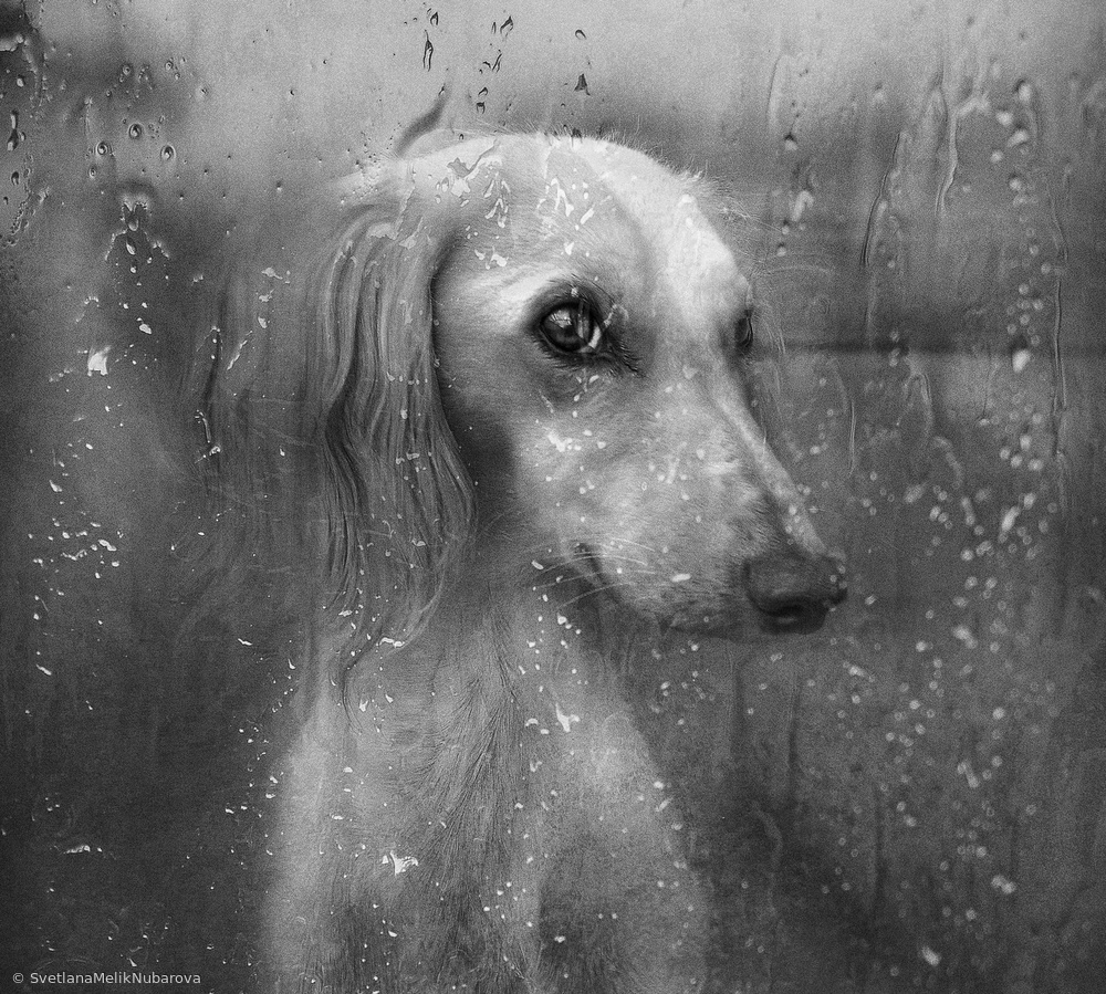 Autumn von Svetlana Melik-Nubarova