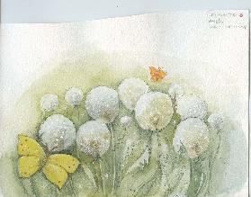 Erinnere mich an den Sommer