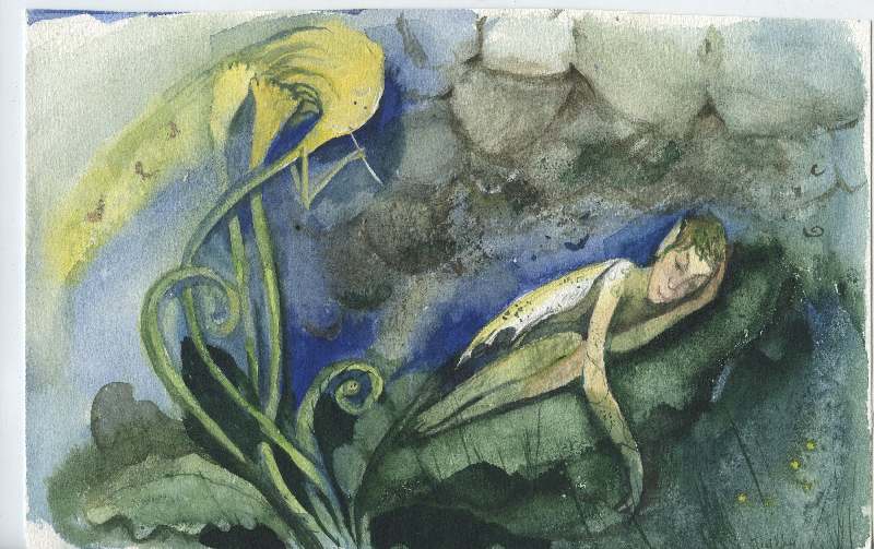 Schlafende Elfe von Svetlana Tiukkel