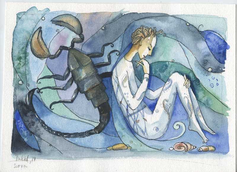 Skorpion von Svetlana Tiukkel