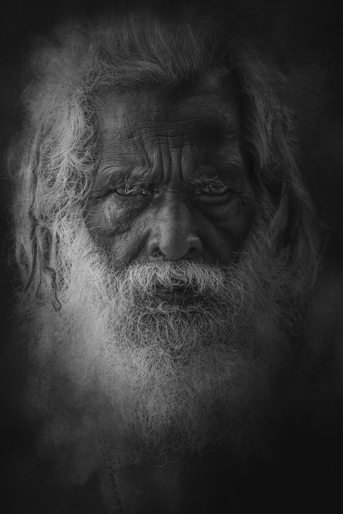 Old Rajasthani man from Varanasi von Svetlin Yosifov