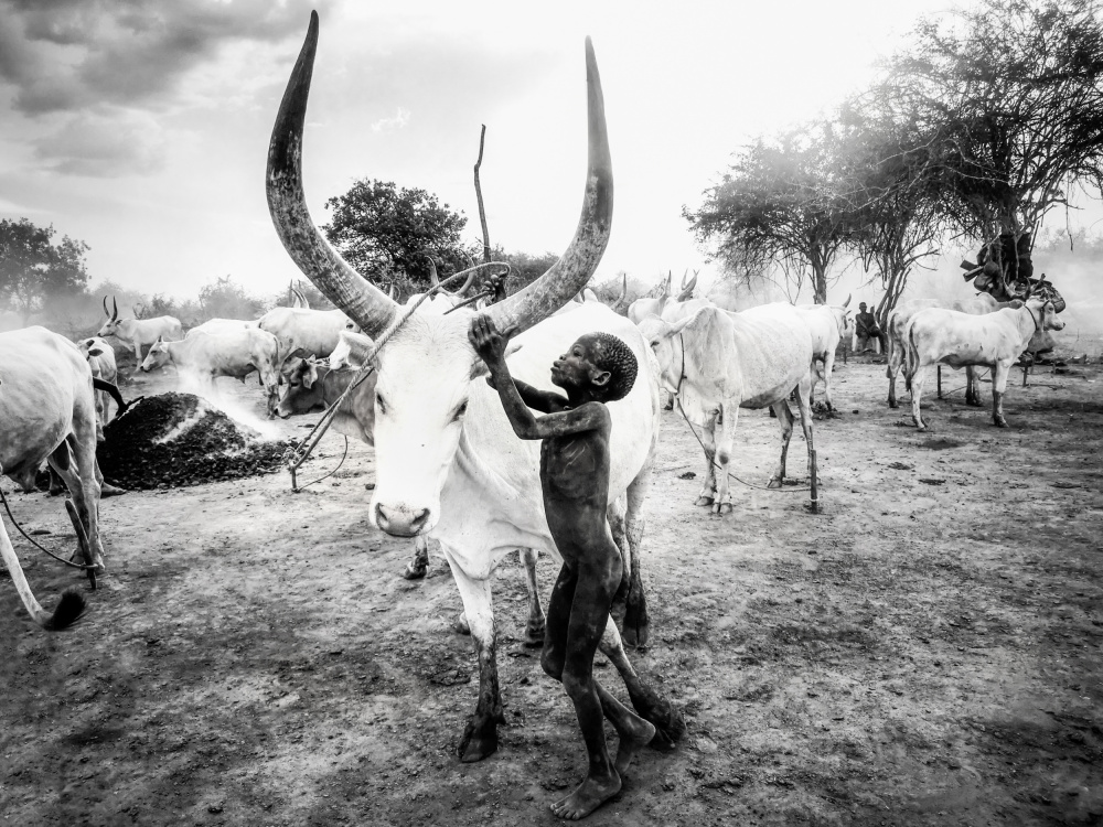 Boy of Mundari, South Sudan von Svetlin Yosifov