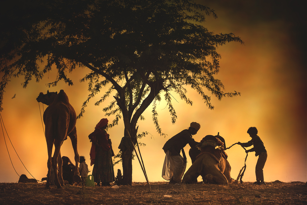 Camel vendors von Svetlin Yosifov