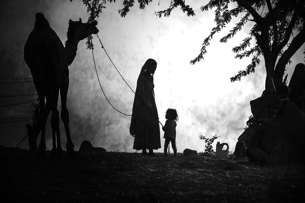 Camel vendors von Svetlin Yosifov