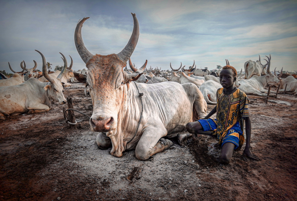 Young Boy of Mundari, South Sudan von Svetlin Yosifov