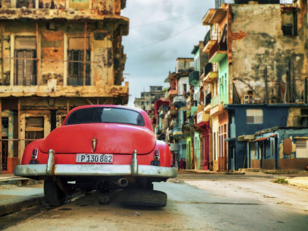 P 130882 von Svetlin Yosifov