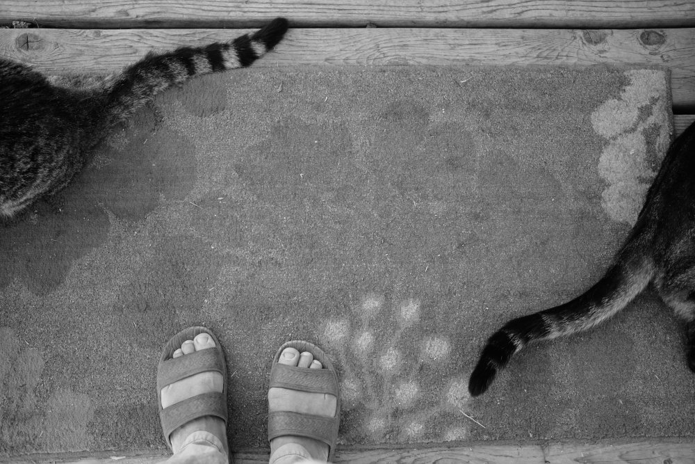 Body Language von Sydney Harter