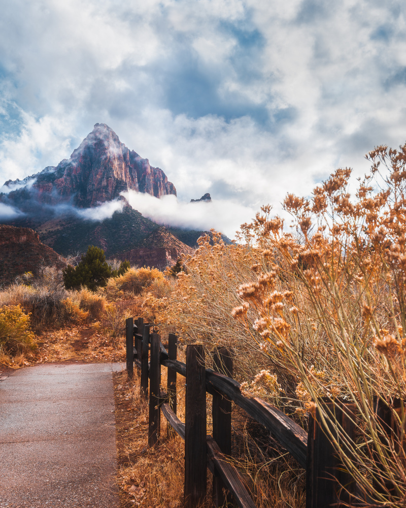 The trail to the rock von Syed Iqbal