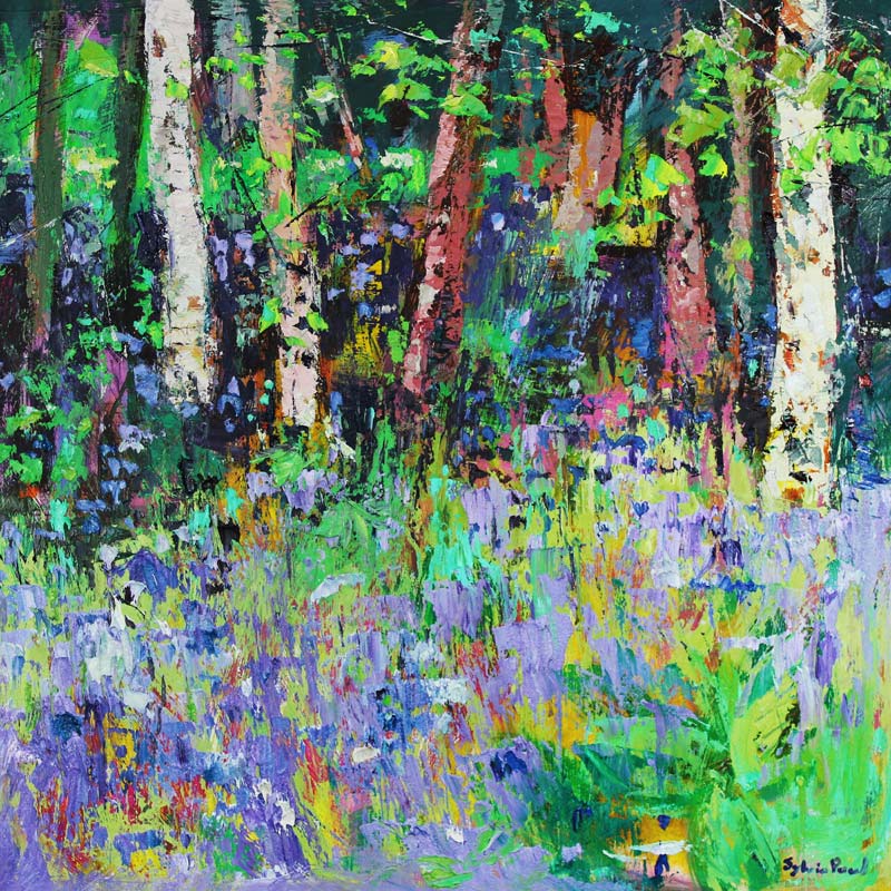 Bluebell Time von Sylvia  Paul
