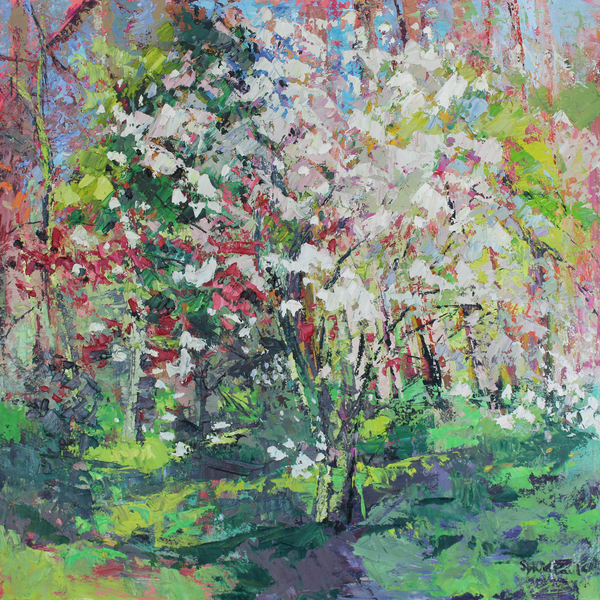 Blossom in the Wood von Sylvia  Paul
