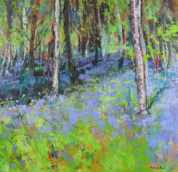 Bluebells and Birches von Sylvia  Paul