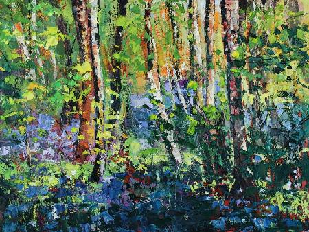 Bluebells and Dancing Leaves 2019