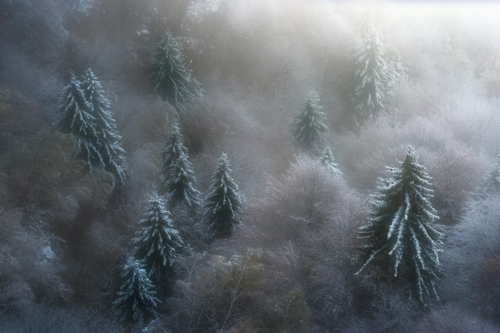 Hidden colour von Szabo Zsolt Andras