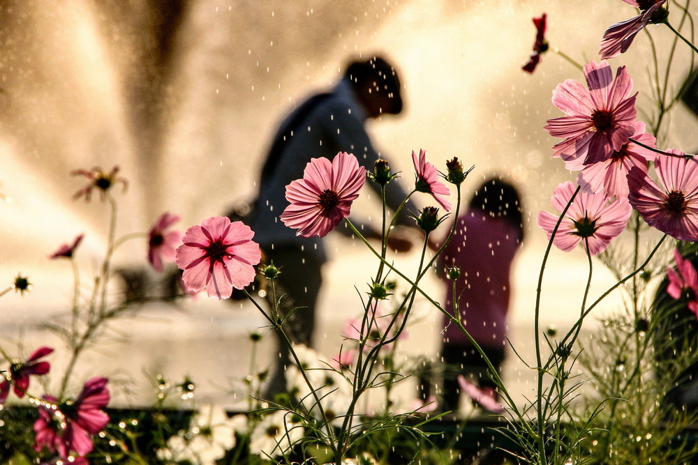 Sight in the memory von Takako Fukaya