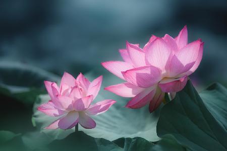 Views of different depths