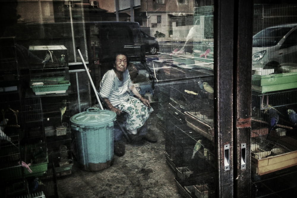A bird seller - colored memory von Takashi Yokoyama