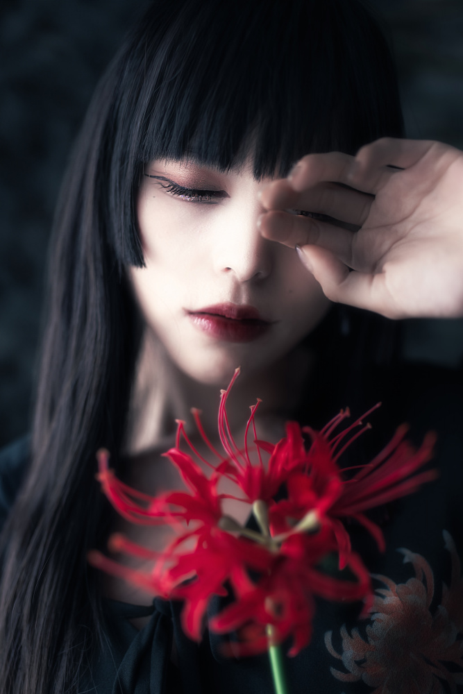 Cluster amaryllis von takeborn299