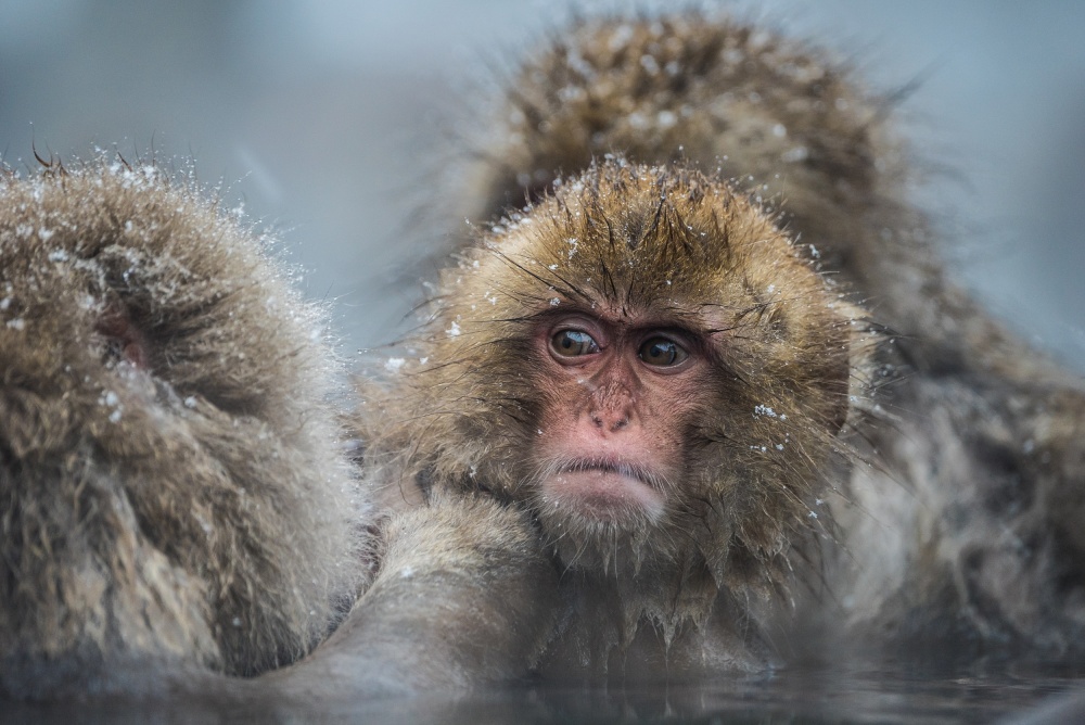 untitledl von Takeshi Marumoto