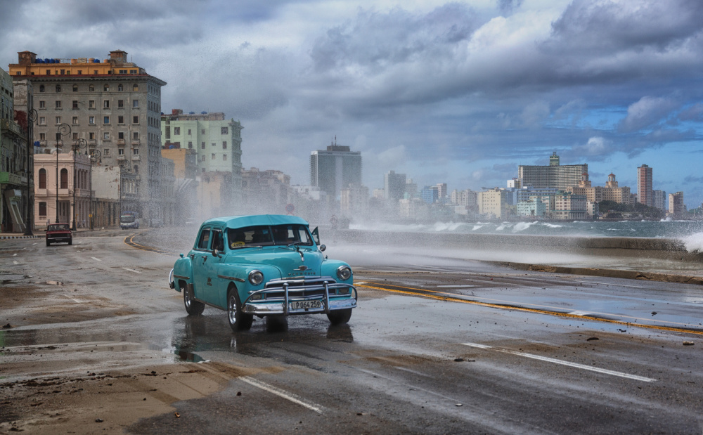 The Flood von Tali Stein