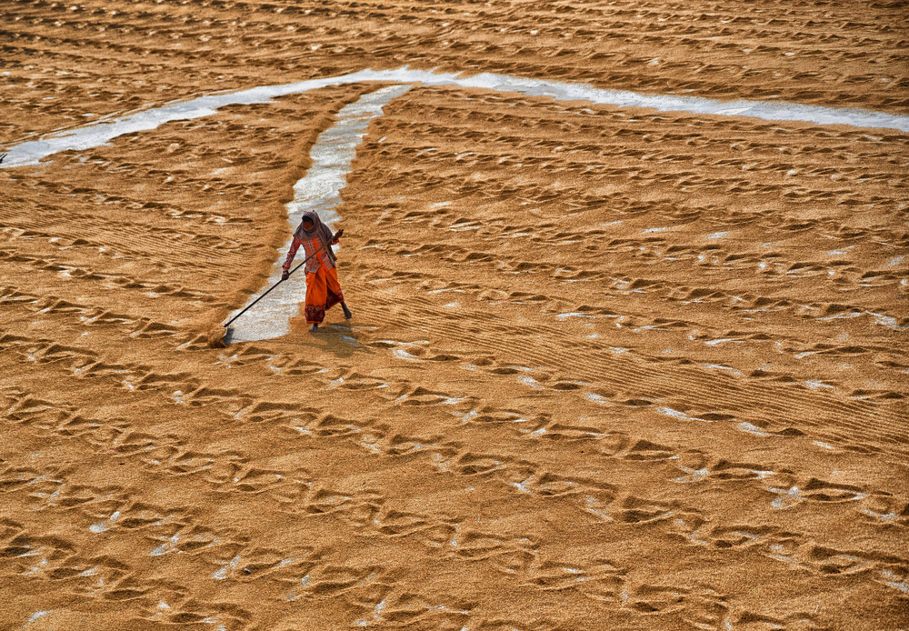 SWEEPING OUT von Tanusree Mitra