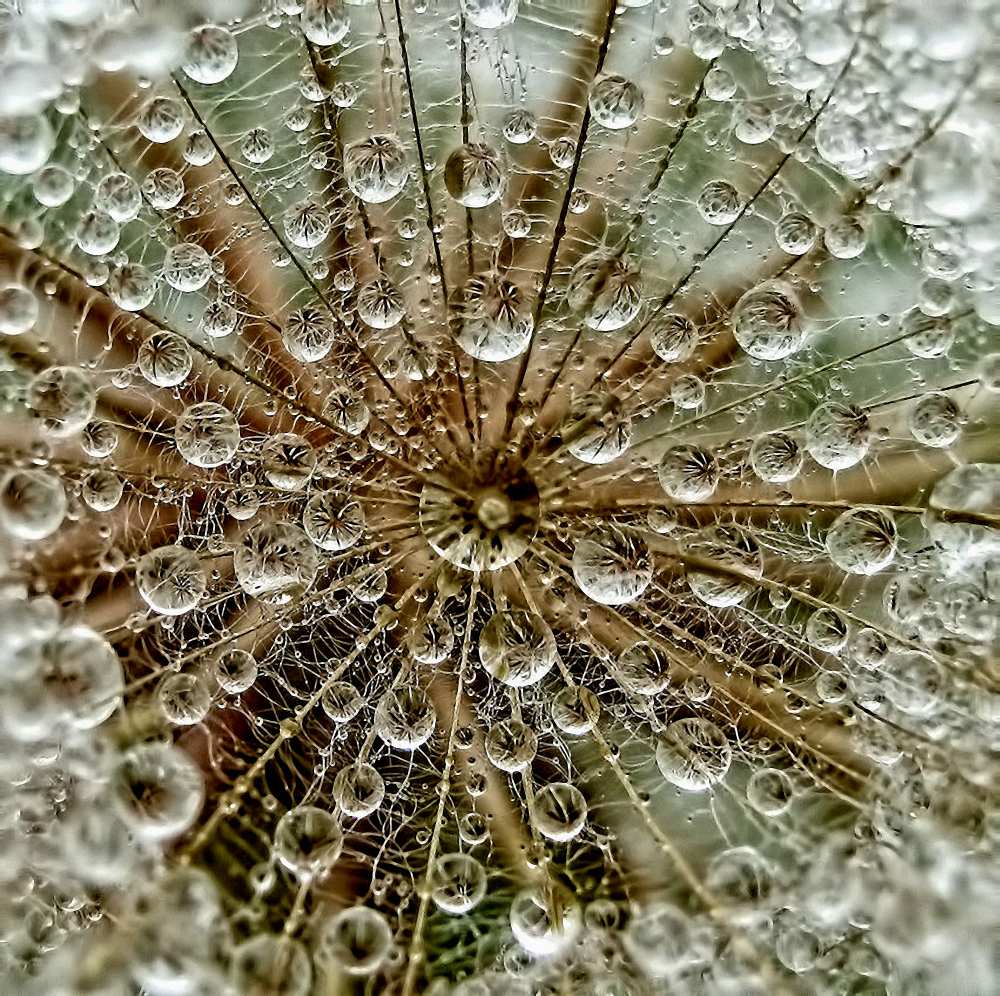 DreD°m von Tanya Markova