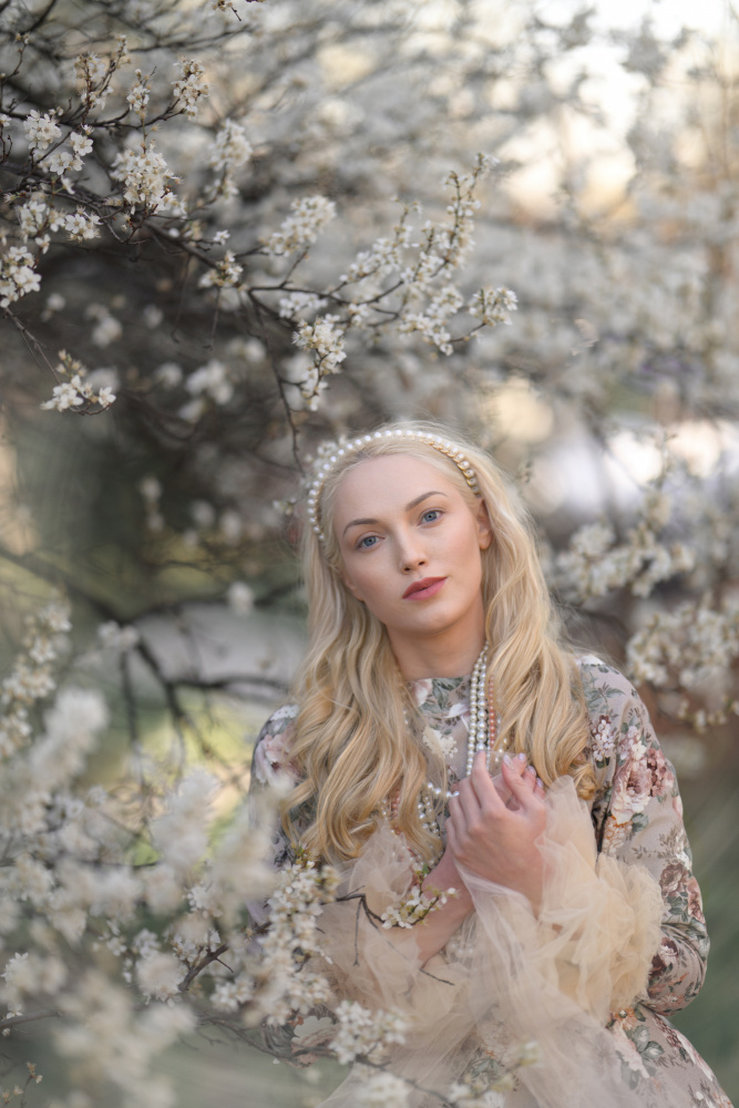 spring von Tanya Markova