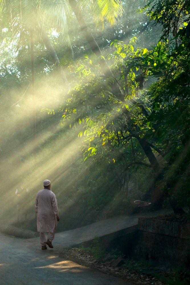 Morning Lights von Tapash Chandra Barman