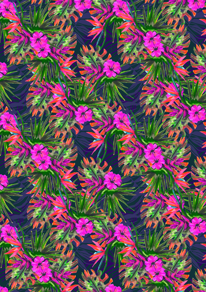 Amazilia von Tara Whitehead