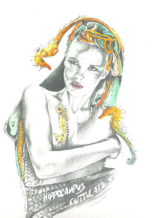 Hippocampus von Antonio Tarantino