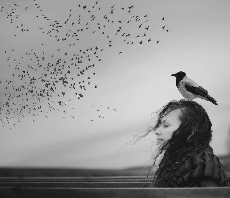 Thoughts von Tatiana Koshutina