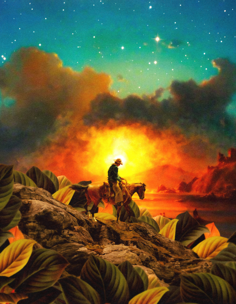 Cowboy II von Taudalpoi